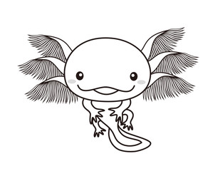 ウーパールーパー　全身　イラスト　ぬりえ