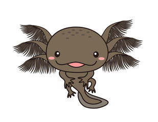 ウーパールーパー　全身　イラスト　マーブル