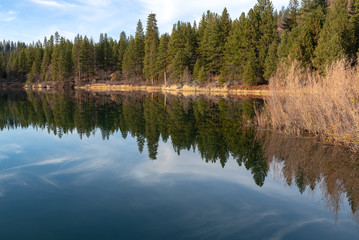 Fototapeta na wymiar Trees reflected in Lake Britton in McArthur Burney Falls Memorial State Park, California, USA