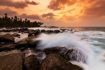 Beautiful sunset on the beach with palms on a Seychelles