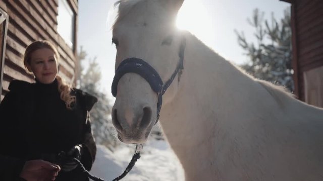 The guy and the girl communicate standing next to a beautiful white horse on the ranch in the winter. Happy couple spend time outdoors at farm.