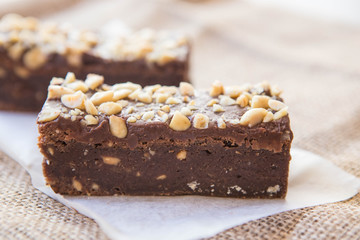 peanut butter and chocolate slice