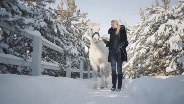 Young woman walks with a beautiful white horse leading her holding a stirrup over a snow-covered country ranch.