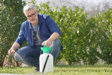 Mature man using garden sprayer in backyard