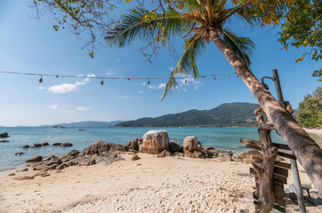 Coconut tree with lamp decoration on white sand beach