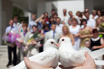 Pigeons at the wedding. The tradition of launching birds in the sky.