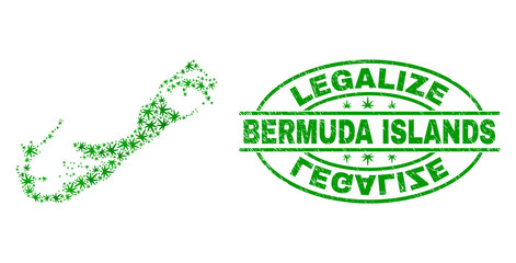 Vector cannabis Bermuda Islands map collage and grunge textured Legalize stamp seal. Concept with green weed leaves. Concept for cannabis legalize campaign.