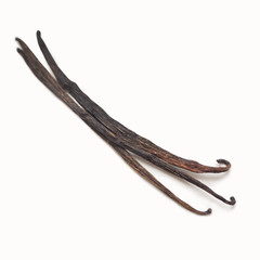 Vanilla pods on white 