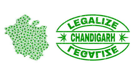 Vector cannabis Chandigarh City map collage and grunge textured Legalize stamp seal. Concept with green weed leaves. Concept for cannabis legalize campaign.