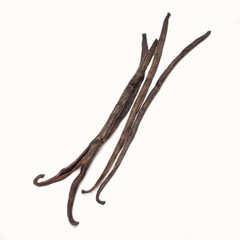 Obraz premium Vanilla pods on white 