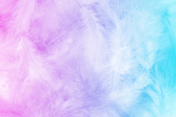Close up photo of fluffy feathers pile. Sweet pastel colorful background with pink to blue gradient. Light, serenity, purity, clarity.