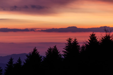 Trees silhouettes against a beautifully colored sky at dusk, with mountains layers in the background