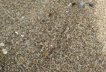 pebbles on the beach