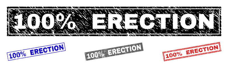 Grunge 100% ERECTION rectangle stamp seals isolated on a white background. Rectangular seals with grunge texture in red, blue, black and grey colors.