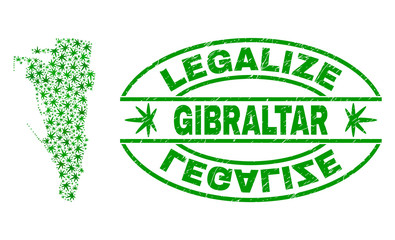 Vector cannabis Gibraltar map mosaic and grunge textured Legalize stamp seal. Concept with green weed leaves. Template for cannabis legalize campaign.