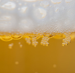 light beer bubbles as background
