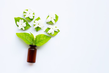 Bottle of essential oil with jasmine flower and leaves on white.