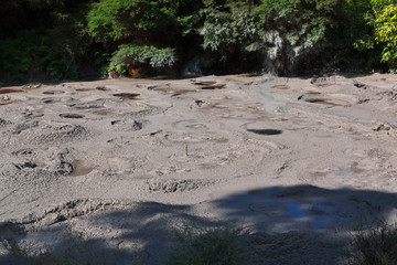 Rotorua, thermal park, New Zealand