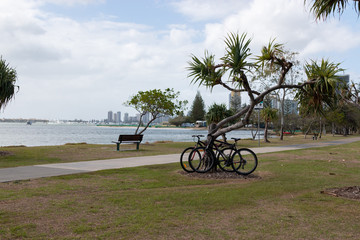 two bicycles on the park ocean view city of Gold Coast Australia