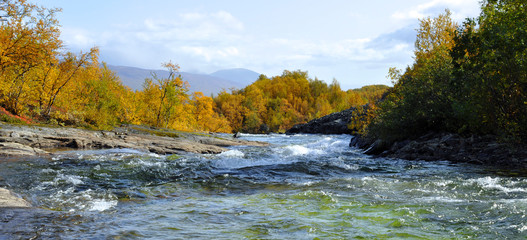 Flowing river in autumn. Abisko national park in Sweden.