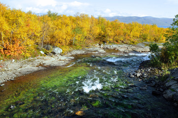 Fototapeta na wymiar Flowing river in autumn. Abisko national park in Sweden.