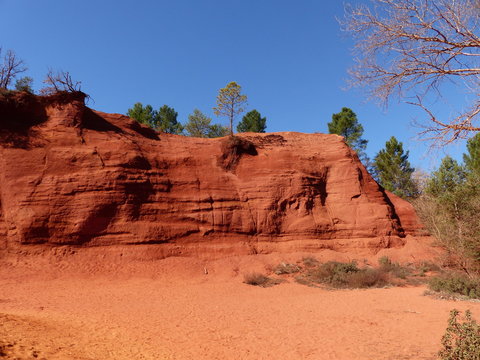 Colorado Proven&ccedil;al