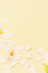 背景素材 桜の花びら