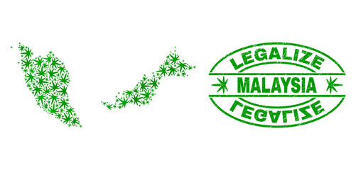 Vector cannabis Malaysia map mosaic and grunge textured Legalize stamp seal. Concept with green weed leaves. Concept for cannabis legalize campaign. Vector Malaysia map is formed with cannabis leaves.