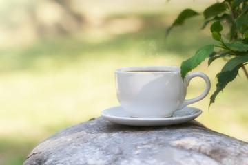 Drink coffee in the morning garden