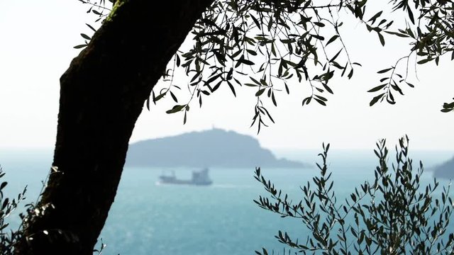 Olive leaves with background the sea and a ship