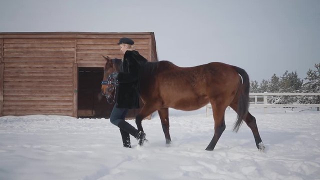 Pretty girl walks with beautiful horse at winter ranch in snow. Young woman leading her horse outdoors. Concept of horse breeding. Slow motion.