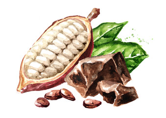 Chocolate pieces and Cocoa beans with pod and green leaves. Superfood. Watercolor hand drawn illustration, isolated on white background