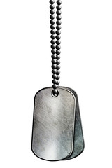 chrome metal tag and necklace. i