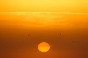 Sun and seabirds.