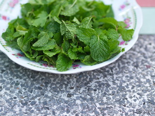 Mint Leaves, The Main Recipe for Thai-Esan Food from Countryside Farm with Natural Light in the morning. Thailand in 2019