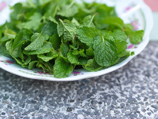 Mint Leaves, The Main Recipe for Thai-Esan Food from Countryside Farm with Natural Light in the morning. Thailand in 2019