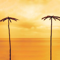 Two palm trees on the background of the sea, yellow golden toning