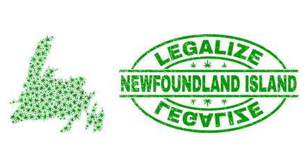 Vector cannabis Newfoundland Island map mosaic and grunge textured Legalize stamp seal. Concept with green weed leaves. Template for cannabis legalize campaign.