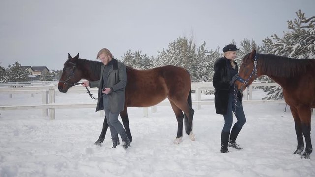 Blond woman and tall man leading two brown horses at the snow winter ranch. The girl got a stubborn and naughty horse. A smiling girl asks the horse to go on. Slow motion.