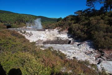 Fototapeta na wymiar Wai-O-Tapu Thermal Wonderland, Rotorua, Champagne Pool, Geyser, New Zealand
