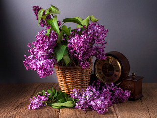 Still life with lilac