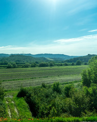 Italy, Rome to Florence train, a large green field with trees in the background