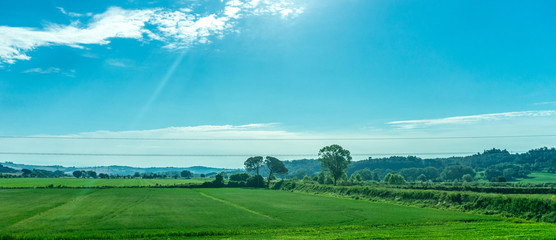 Italy, Rome to Florence train, a large green field with trees in the background