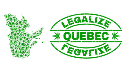 Vector cannabis Quebec Province map collage and grunge textured Legalize stamp seal. Concept with green weed leaves. Concept for cannabis legalize campaign.