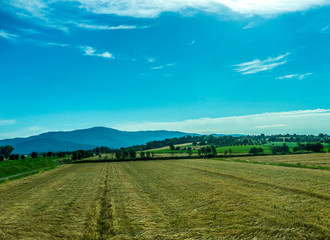 Fototapeta na wymiar Italy, Rome to Florence train, a large green field with trees in the background