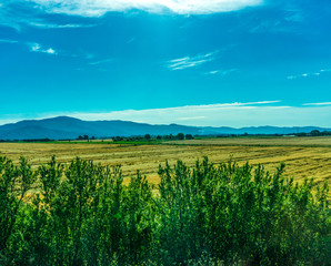 Italy, Rome to Florence train,