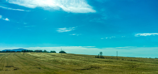 Italy, Rome to Florence train, a large green field with trees in the background
