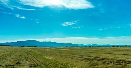 Italy, Rome to Florence train, a large green field with trees in the background