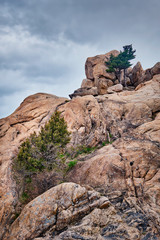 Rock with pine trees in Seoraksan National Park, South Korea