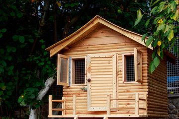 small wooden house © deviddo